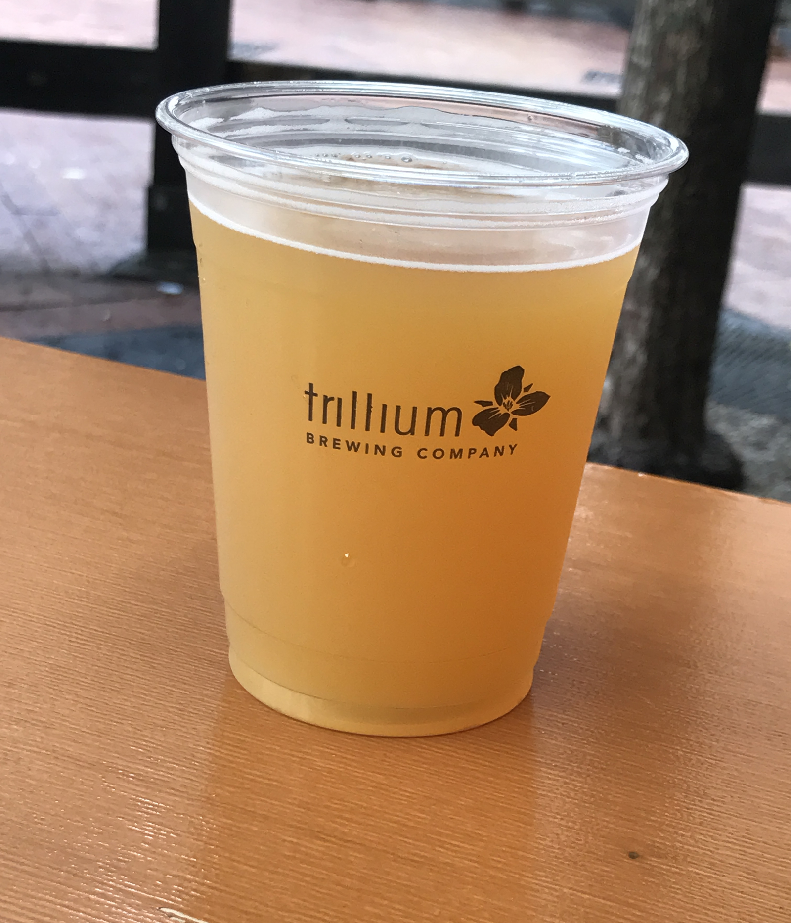Trillium Brewing Company Beer in a Cup