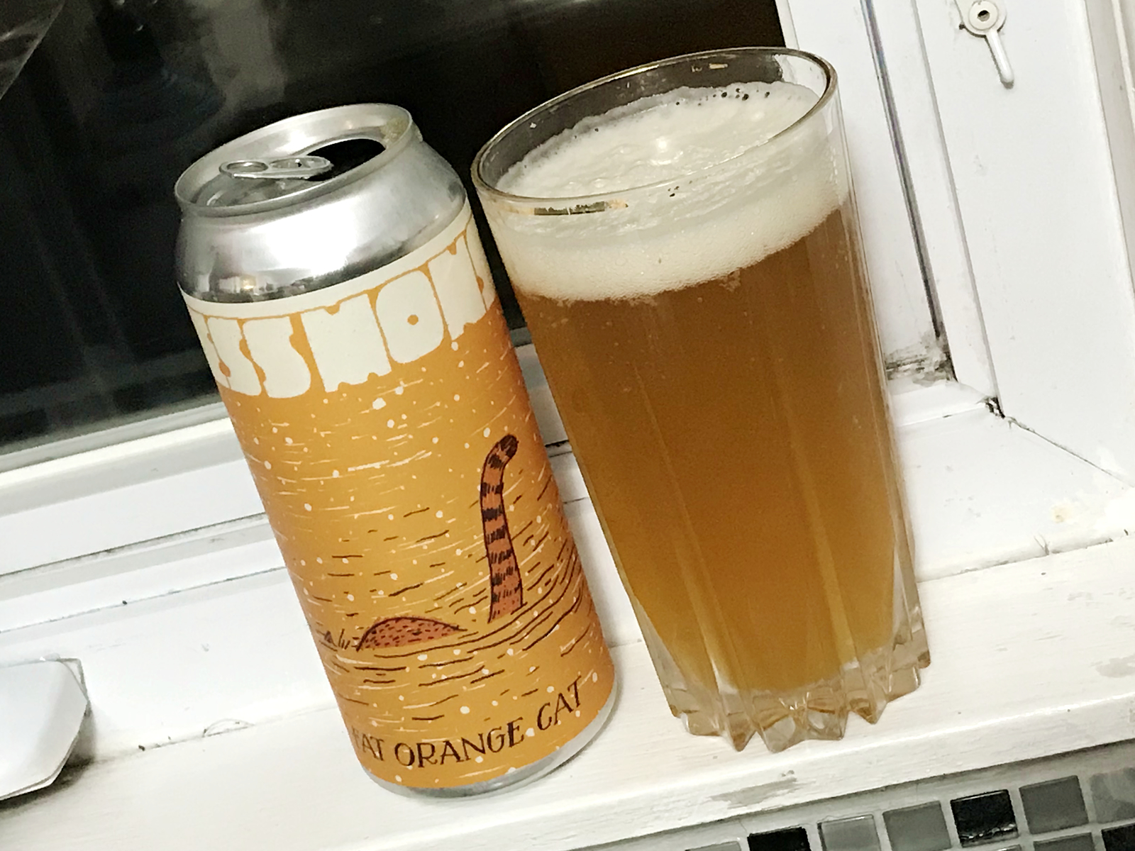 Fat Orange Cat Brew Co. FOC Less Monster Beers on Windowsills