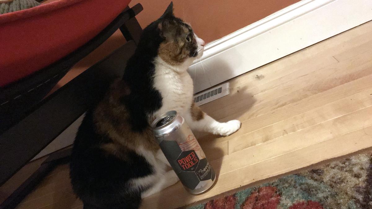 Charlie the cat and the Power Tools IPA from Industrial Arts Brewing