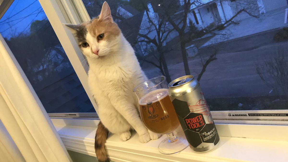 Luna the cat and the Power Tools IPA from Industrial Arts Brewing—on the Windowsill